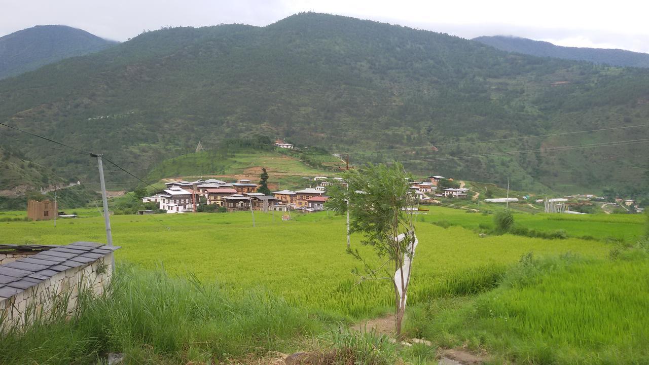 Chimi Lhakhang Village Homestay Punakha Bagian luar foto