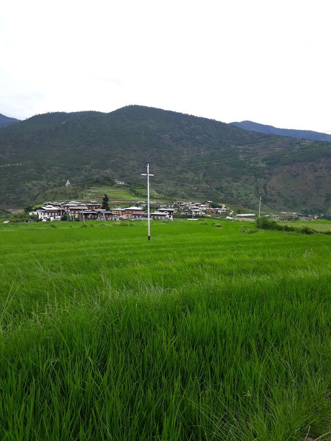 Chimi Lhakhang Village Homestay Punakha Bagian luar foto